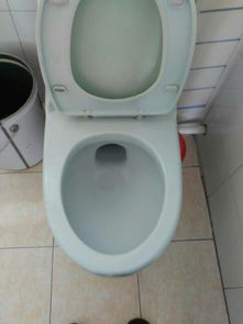 关于马桶的冷知识 一种多功能的日常洁具